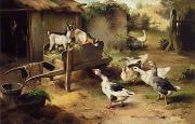 unknow artist Poultry 076 Germany oil painting artist